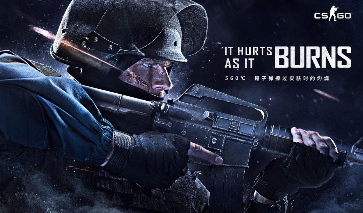 国内的政治 国内的政治